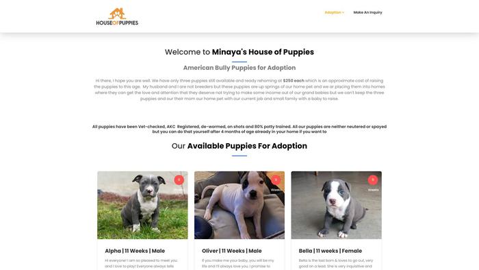 Cllifortsgorgeouspethome.store - Pit Bull Puppy Scam Review