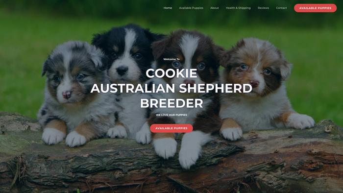 Cookieaustralianshepherdbreede.com - Germanshepherd Puppy Scam Review