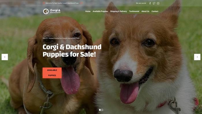 Corgindachshund.com - Corgi Puppy Scam Review