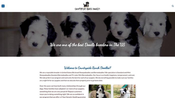 Countrysideranchdoodles.com - Labradoodle Puppy Scam Review