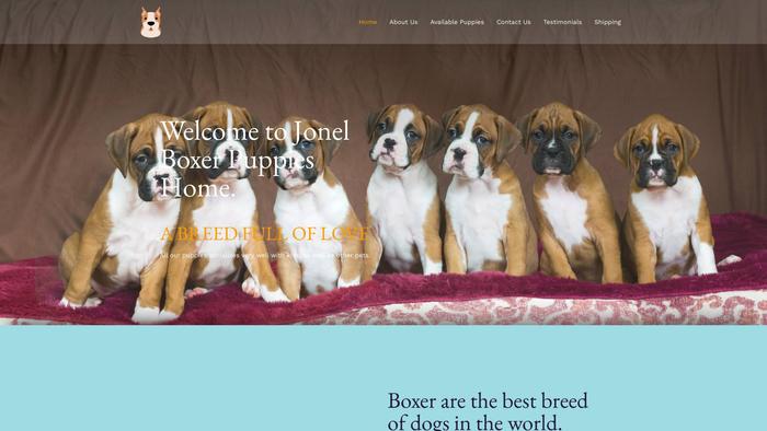 Coxboxerslove.com - Boxer Puppy Scam Review