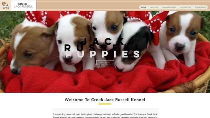 Creekrussell.com - Jack Russell Terrier Puppy Scam Review