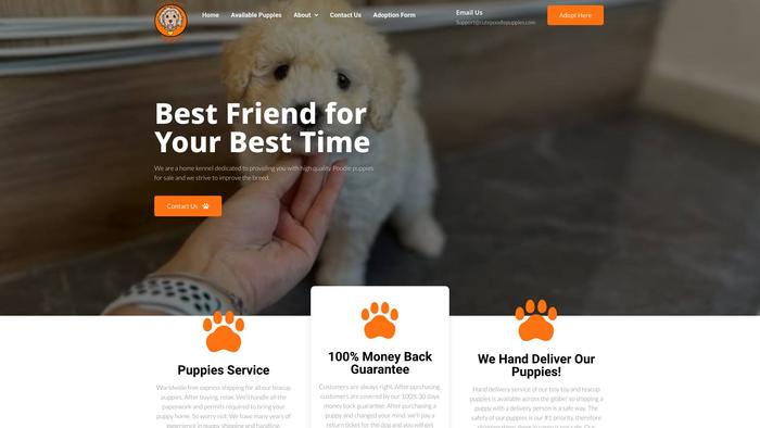 Cutepoodlepuppies.com - Poodle Puppy Scam Review