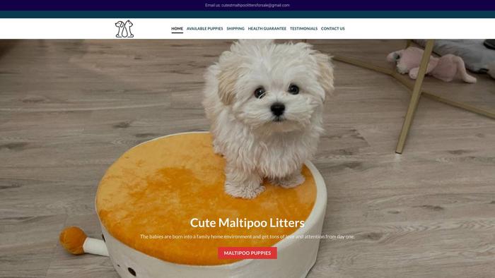 Cutestmaltipoolittersforsale.com - Maltipoo Puppy Scam Review