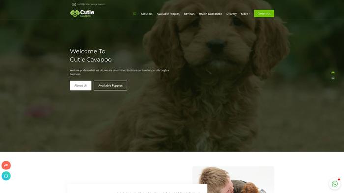 Cutiecavapoo.com - Cavapoo Puppy Scam Review