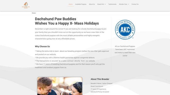 Dachshundpawbuddies.com - Dachshund Puppy Scam Review