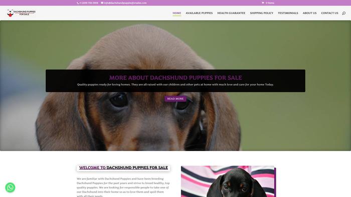 Dachshundpuppiesforsales.com - Dachshund Puppy Scam Review