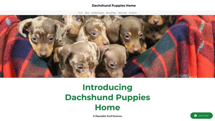 Dachshundpuppieshome.com - Dachshund Puppy Scam Review