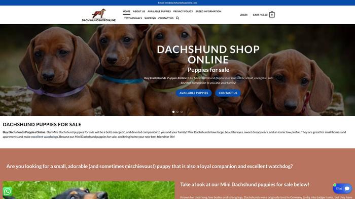 Dachshundshoponline.com - Dachshund Puppy Scam Review