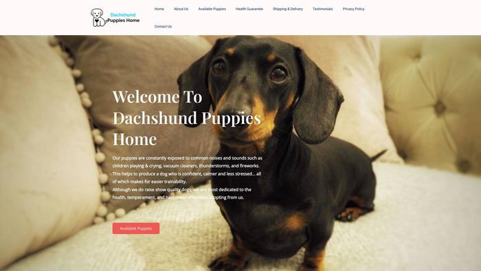 Dachsundpuppieshome.com - Dachshund Puppy Scam Review