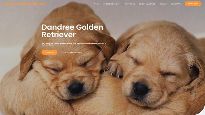 Dandreegoldenretriever.com - Golden Retriever Puppy Scam Review