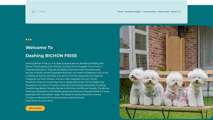 Dashingbichonfrise.com - Bichon Frise Puppy Scam Review