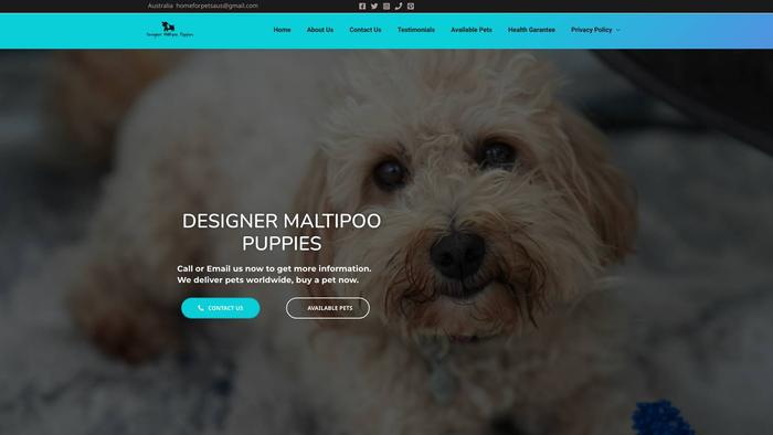 Designermaltipoopuppies.com - Maltipoo Puppy Scam Review