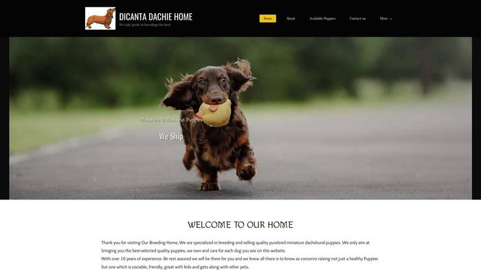 Dicasaussages.com - Dachshund Puppy Scam Review