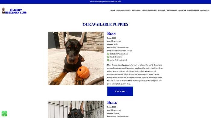 Diligentdobermanclub.com - Doberman Pinscher Puppy Scam Review