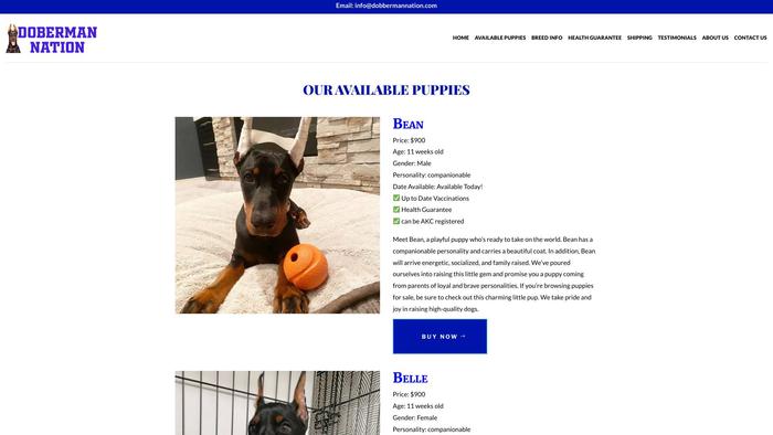 Dobbermannation.com - Doberman Pinscher Puppy Scam Review