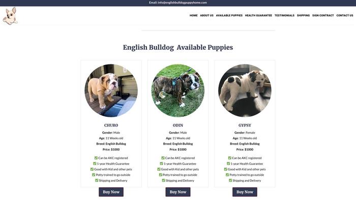 Englishbulldogpuppyhome.com - English Bulldog Puppy Scam Review