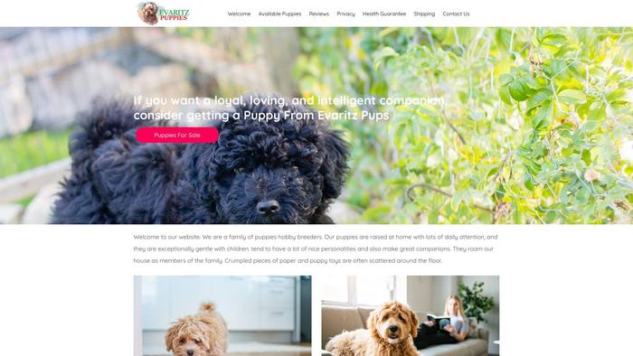 Evaritzpuppies.com - Cavapoo Puppy Scam Review