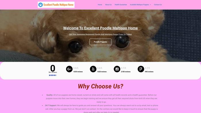 Excellentpoodlemaltipoohome.com - Maltipoo Puppy Scam Review