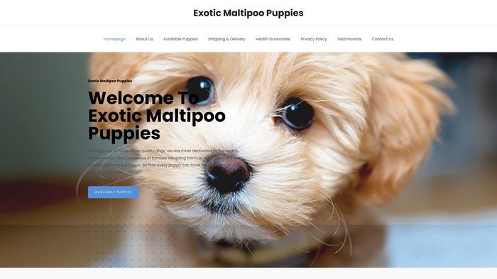 Exoticmaltipoopups.com - Maltipoo Puppy Scam Review