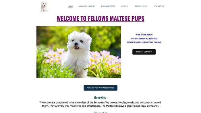 Fellowesmaltesepupps.com - Maltese Puppy Scam Review