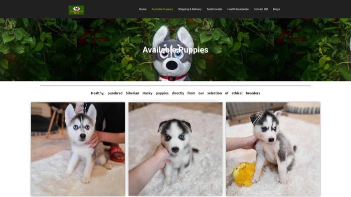 Finwyhuskyfarm.com - Husky Puppy Scam Review