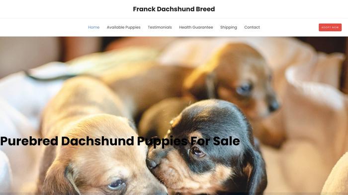 Franckdachshundbreed.com - Dachshund Puppy Scam Review