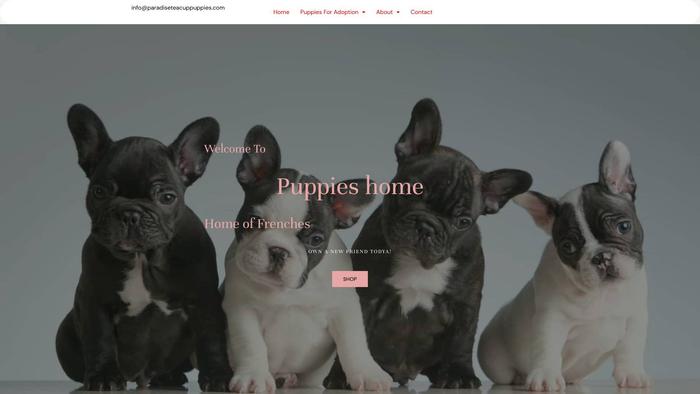 Frenchbulldogpuppies4family.com - French Bulldog Puppy Scam Review