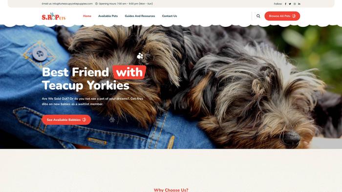 Furteacupyorkiepuppies.com - Yorkshire Terrier Puppy Scam Review