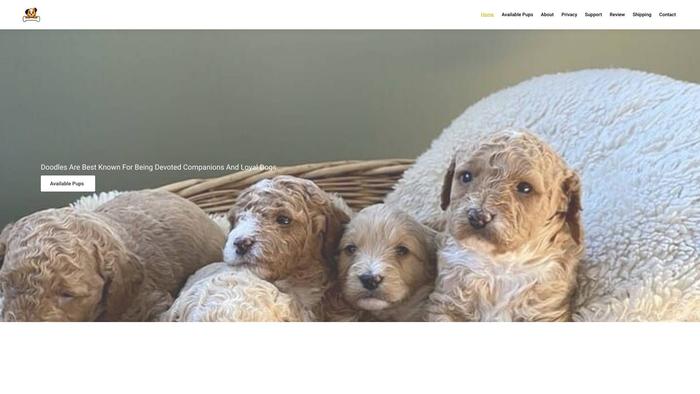 Goldendoodlepuphome.com - Golden Doodle Puppy Scam Review