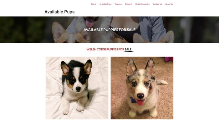 Haileycorgishome.com - Corgi Puppy Scam Review