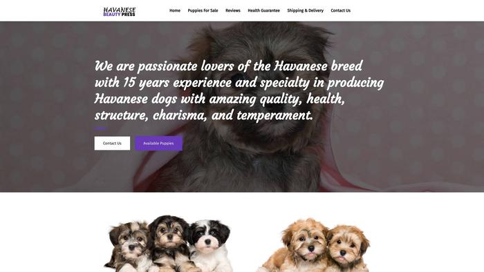 Havanesebeautypress.com - Havanese Puppy Scam Review