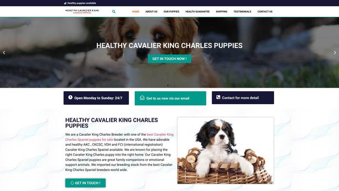 Healthycavalierkingcharlespups.com - Cavalier King Charles Spaniel Puppy Scam Review