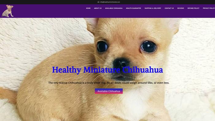 Healthyminichicenter.com - Chihuahua Puppy Scam Review