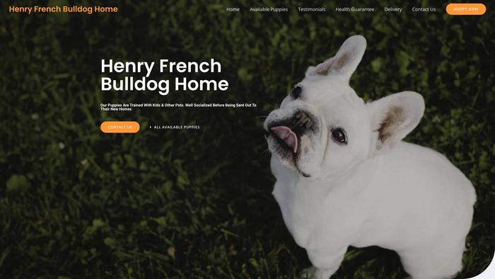 Henryfrenchbulldoghome.com - French Bulldog Puppy Scam Review