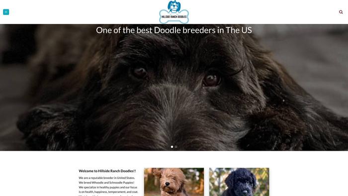 Hillsideranchdoodles.com - Labradoodle Puppy Scam Review