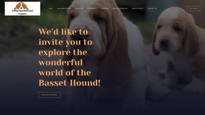 Hiltopbassethoundpuppies.com - Bassethound Puppy Scam Review