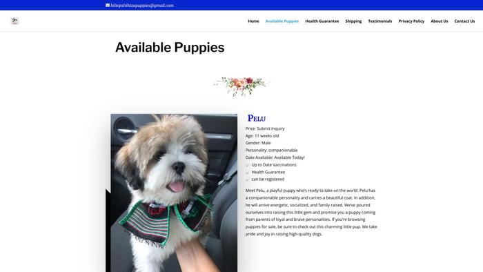 Hiltopshihtzupuppies.com - Shihtzu Puppy Scam Review