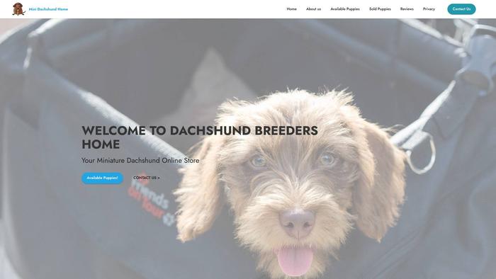 Hminidachshundshome.com - Dachshund Puppy Scam Review