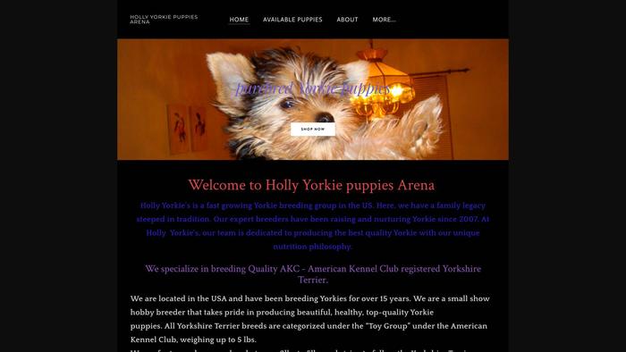 Hollyyorkiepuppiesarena.company.com - Yorkshire Terrier Puppy Scam Review