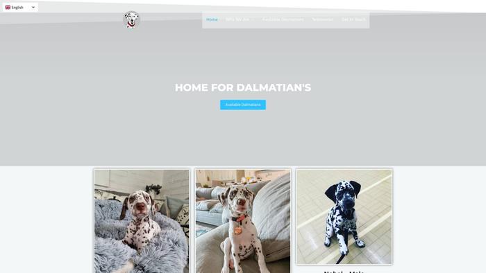 Home4dalmatians.com - Labrador Puppy Scam Review