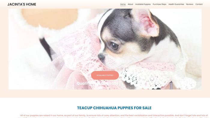 Jacintashome.com - Chihuahua Puppy Scam Review