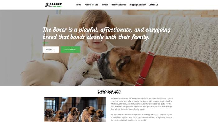 Jasperboxerpuppies.com - Boxer Puppy Scam Review