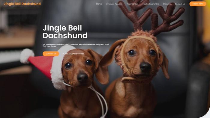 Jinglebelldachshund.com - Dachshund Puppy Scam Review