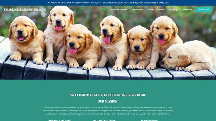 Kalebsgoldenretrievershome.com - Golden Retriever Puppy Scam Review