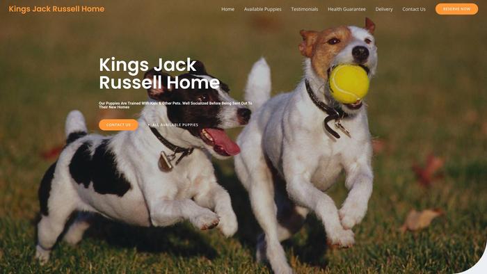 Kingsjackrussellhome.com - Jack Russell Terrier Puppy Scam Review