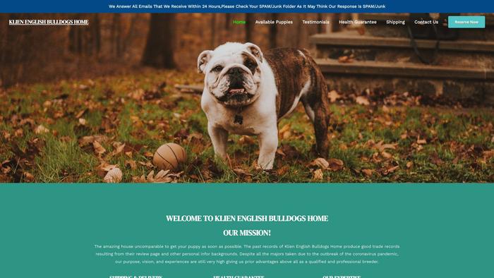 Klienenglishbulldogshome.com - English Bulldog Puppy Scam Review