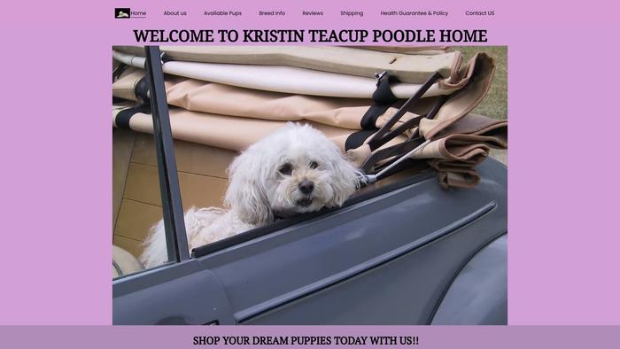 Kristineteacuppoodles.com - Poodle Puppy Scam Review