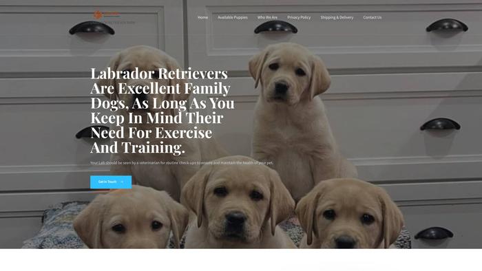 Labradorretrieverfarm.com - Golden Retriever Puppy Scam Review