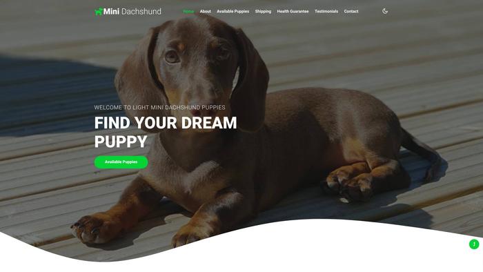 Light-mnindachshundpuppies.com - Dachshund Puppy Scam Review